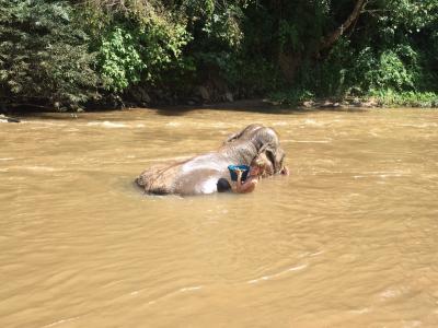 2 days/1 night Private trekking tour | Chiang Mai Trekking | Das beste Trekking in Chiang Mai mit Piroon Nantaya